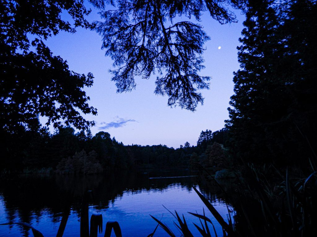 A nighttime scene in New Zealand. There is a dark blue lake surrounded by black silhouettes of trees around the lake. The moon is high in the sky.  The lake is nearby a resting spot after a long day of van travel.  