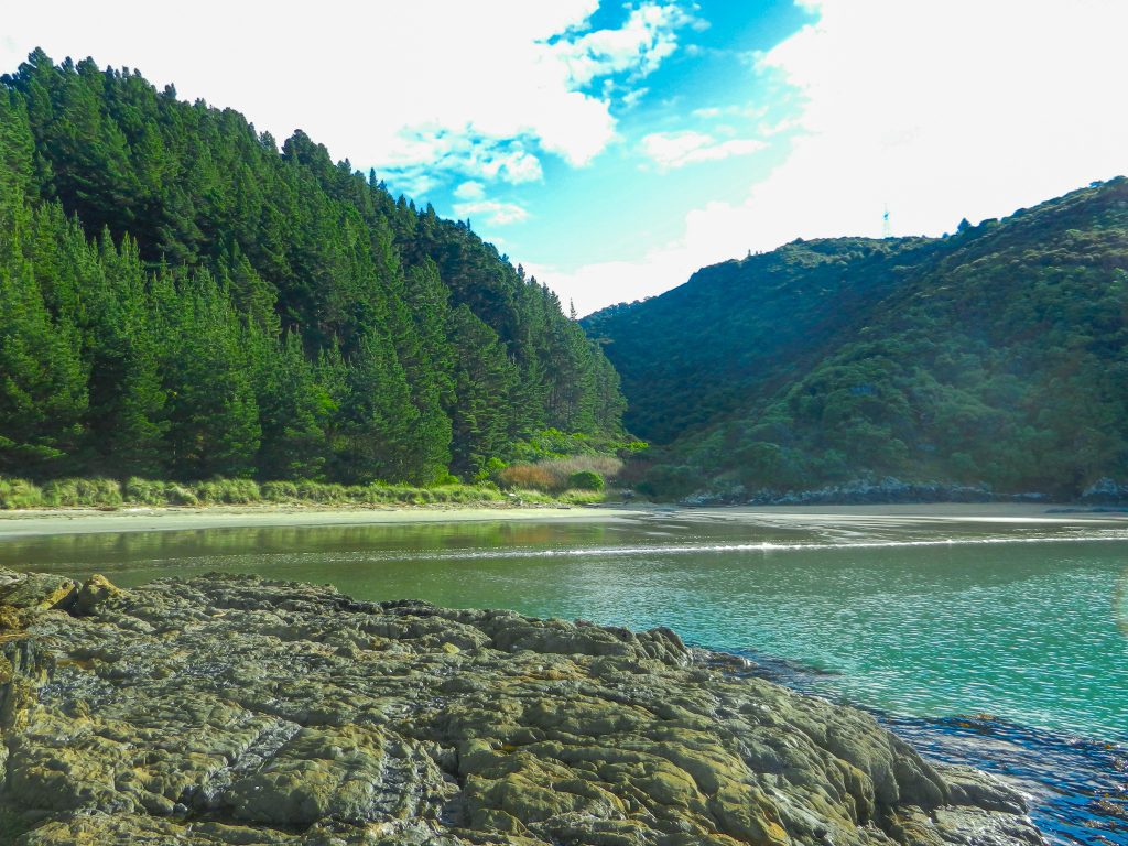 A photograph of White's Bay in New Zealand. There is a beautiful turquoise ocean with some small white waves. There are rocks in the foreground and lots of tall green trees in the background. The sky is blue and cloudy. The beach is nearby a campsite. A great place to stop of your van travel through New Zealand. 