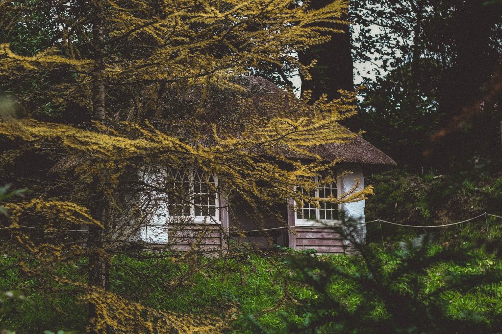 A photo of a thatched cabin in a garden. The cabin is surrounded by trees. 