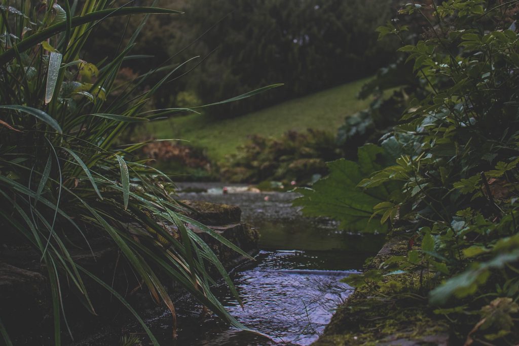 A photo of a small pond that is surrounded by lots of plants within a lovely landscaped garden.