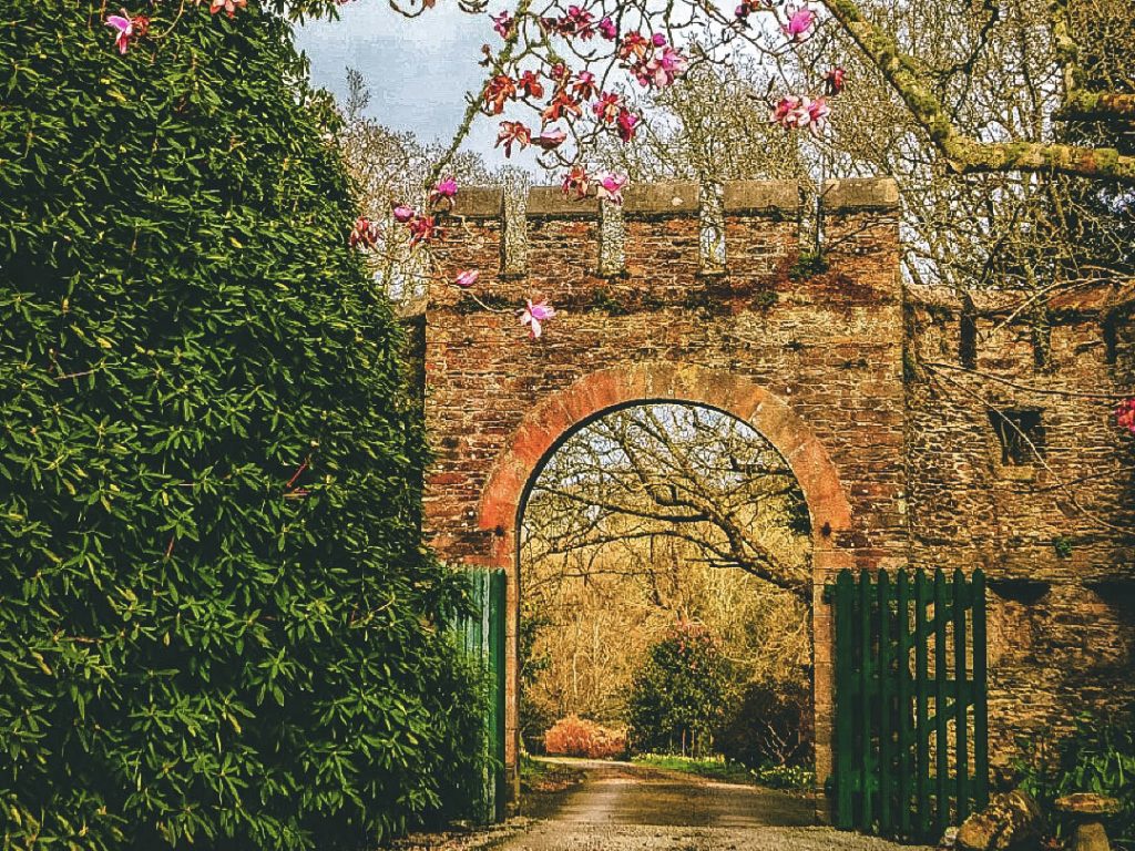 A photo from inside a castle of an archway. There is a big green bush and pink magnolia tree. 