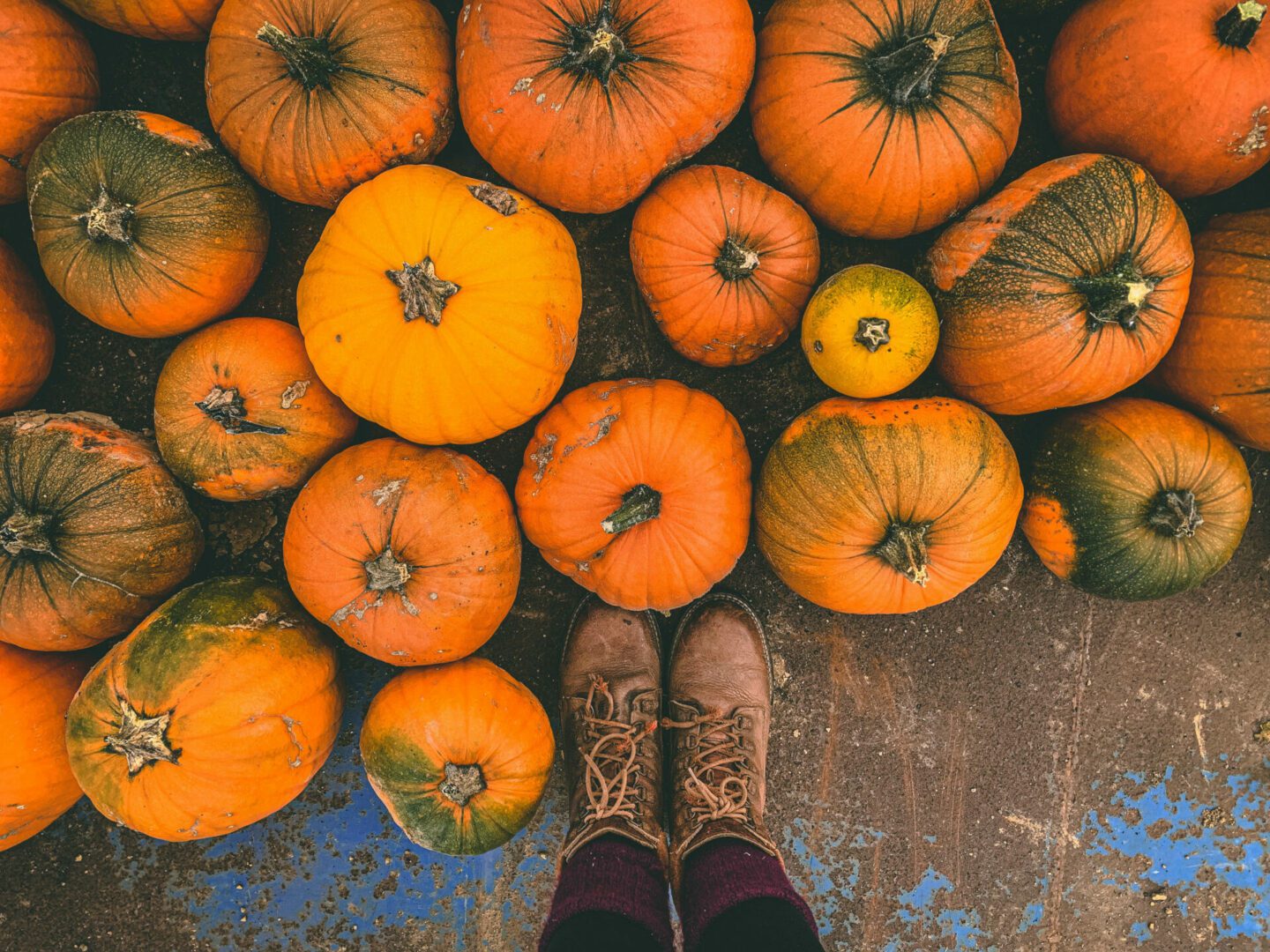 Our Top Pumpkin Recipes